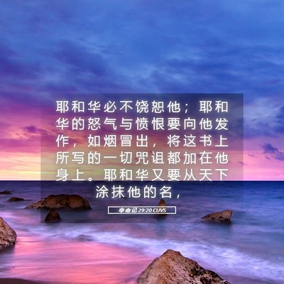 Picture 05 - 申 命 记 29:20 CUVS - 耶 和 华 必 不 饶 恕 他 ； 耶 和 华 - Bible Verse Picture
