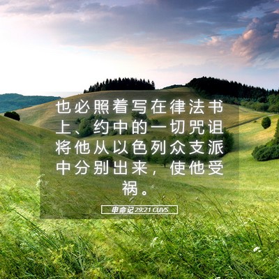 Picture 05 - 申 命 记 29:21 CUVS - 也 必 照 着 写 在 律 法 书 上 、 约 - Bible Verse Picture