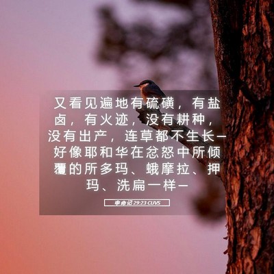 Picture 05 - 申 命 记 29:23 CUVS - 又 看 见 遍 地 有 硫 磺 ， 有 盐 卤 - Bible Verse Picture