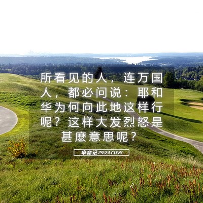Picture 05 - 申 命 记 29:24 CUVS - 所 看 见 的 人 ， 连 万 国 人 ， 都 - Bible Verse Picture