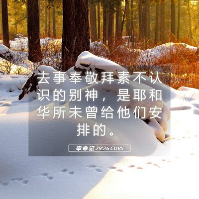 Picture 05 - 申 命 记 29:26 CUVS - 去 事 奉 敬 拜 素 不 认 识 的 别 神 - Bible Verse Picture