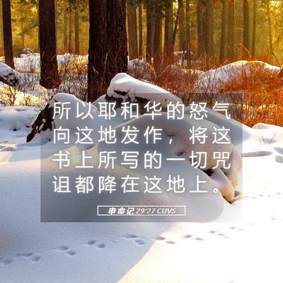 Picture 05 - 申 命 记 29:27 CUVS - 所 以 耶 和 华 的 怒 气 向 这 地 发 - Bible Verse Picture