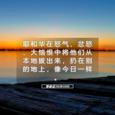Picture 05 - 申 命 记 29:28 CUVS - 耶 和 华 在 怒 气 、 忿 怒 、 大 恼 - Bible Verse Picture