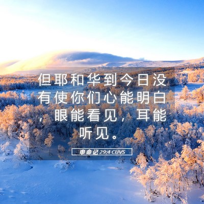 Picture 05 - 申 命 记 29:4 CUVS - 但 耶 和 华 到 今 日 没 有 使 你 们 - Bible Verse Picture