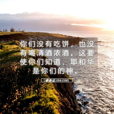 Picture 05 - 申 命 记 29:6 CUVS - 你 们 没 有 吃 饼 ， 也 没 有 喝 清 - Bible Verse Picture
