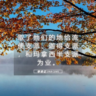 Picture 05 - 申 命 记 29:8 CUVS - 取 了 他 们 的 地 给 流 便 支 派 、 - Bible Verse Picture