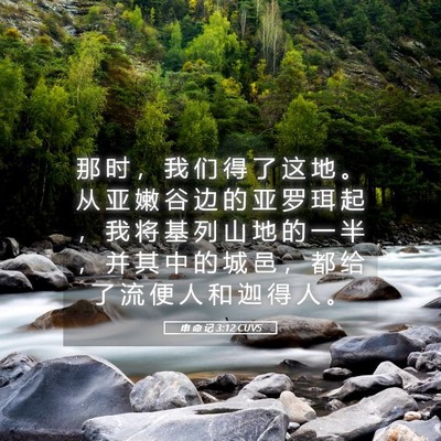 Picture 05 - 申 命 记 3:12 CUVS - 那 时 ， 我 们 得 了 这 地 。 从 亚 - Bible Verse Picture