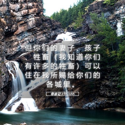Picture 05 - 申 命 记 3:19 CUVS - 但 你 们 的 妻 子 、 孩 子 、 牲 畜 - Bible Verse Picture