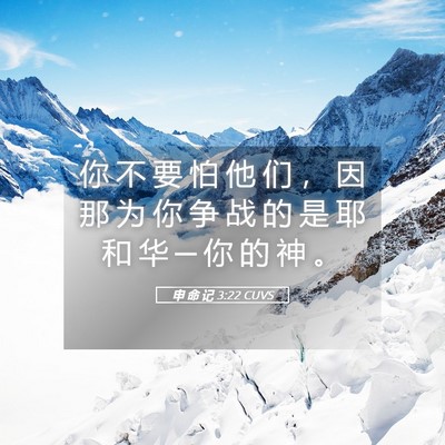 Picture 05 - 申 命 记 3:22 CUVS - 你 不 要 怕 他 们 ， 因 那 为 你 争 - Bible Verse Picture