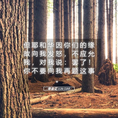 Picture 05 - 申 命 记 3:26 CUVS - 但 耶 和 华 因 你 们 的 缘 故 向 我 - Bible Verse Picture