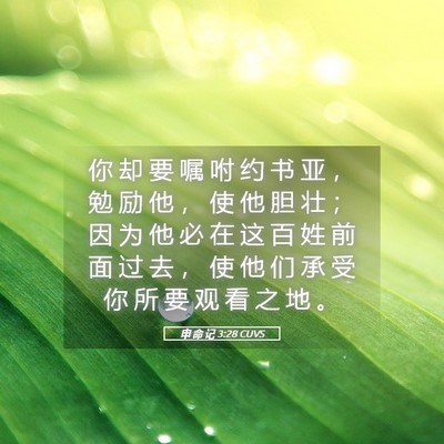 Picture 05 - 申 命 记 3:28 CUVS - 你 却 要 嘱 咐 约 书 亚 ， 勉 励 他 - Bible Verse Picture