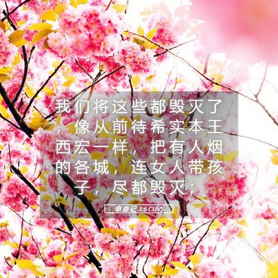 Picture 05 - 申 命 记 3:6 CUVS - 我 们 将 这 些 都 毁 灭 了 ， 像 从 - Bible Verse Picture