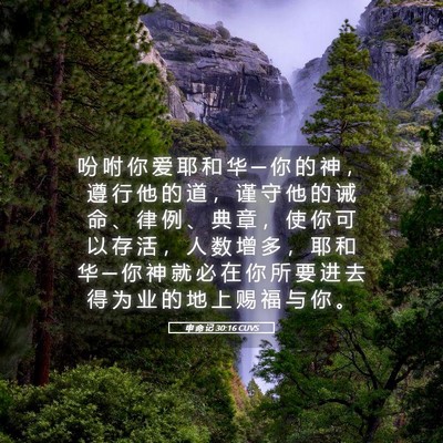 Picture 05 - 申 命 记 30:16 CUVS - 吩 咐 你 爱 耶 和 华 ─ 你 的 神 ， - Bible Verse Picture