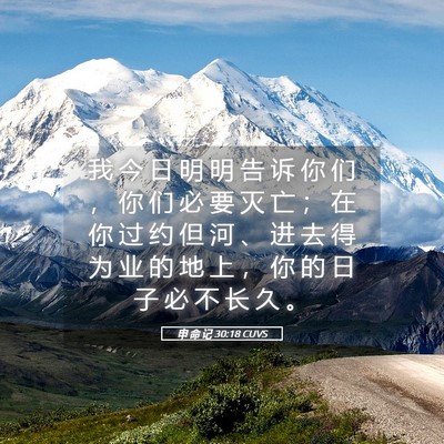 Picture 05 - 申 命 记 30:18 CUVS - 我 今 日 明 明 告 诉 你 们 ， 你 们 - Bible Verse Picture