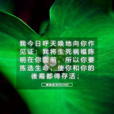 Picture 05 - 申 命 记 30:19 CUVS - 我 今 日 呼 天 唤 地 向 你 作 见 证 - Bible Verse Picture