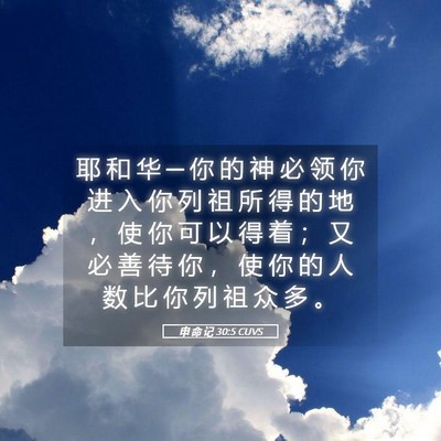 Picture 05 - 申 命 记 30:5 CUVS - 耶 和 华 ─ 你 的 神 必 领 你 进 入 - Bible Verse Picture