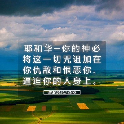 Picture 05 - 申 命 记 30:7 CUVS - 耶 和 华 ─ 你 的 神 必 将 这 一 切 - Bible Verse Picture