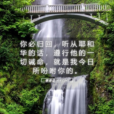 Picture 05 - 申 命 记 30:8 CUVS - 你 必 归 回 ， 听 从 耶 和 华 的 话 - Bible Verse Picture