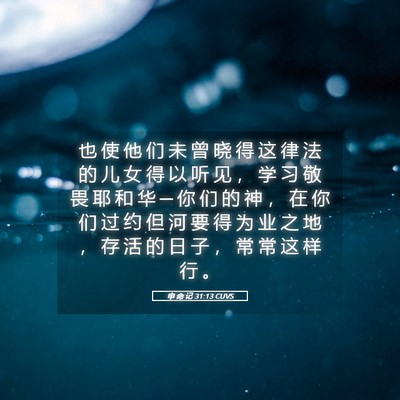 Picture 05 - 申 命 记 31:13 CUVS - 也 使 他 们 未 曾 晓 得 这 律 法 的 - Bible Verse Picture