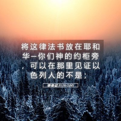 Picture 05 - 申 命 记 31:26 CUVS - 将 这 律 法 书 放 在 耶 和 华 ─ 你 - Bible Verse Picture