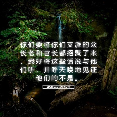 Picture 05 - 申 命 记 31:28 CUVS - 你 们 要 将 你 们 支 派 的 众 长 老 - Bible Verse Picture