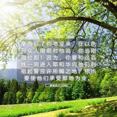 Picture 05 - 申 命 记 31:7 CUVS - 摩 西 召 了 约 书 亚 来 ， 在 以 色 - Bible Verse Picture