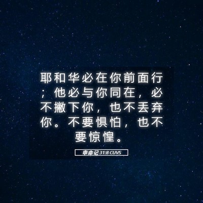 Picture 05 - 申 命 记 31:8 CUVS - 耶 和 华 必 在 你 前 面 行 ； 他 必 - Bible Verse Picture