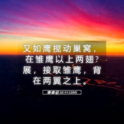 Picture 05 - 申 命 记 32:11 CUVS - 又 如 鹰 搅 动 巢 窝 ， 在 雏 鹰 以 - Bible Verse Picture
