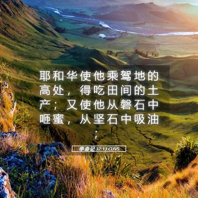 Picture 05 - 申 命 记 32:13 CUVS - 耶 和 华 使 他 乘 驾 地 的 高 处 ， - Bible Verse Picture