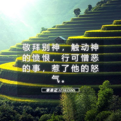 Picture 05 - 申 命 记 32:16 CUVS - 敬 拜 别 神 ， 触 动 神 的 愤 恨 ， - Bible Verse Picture