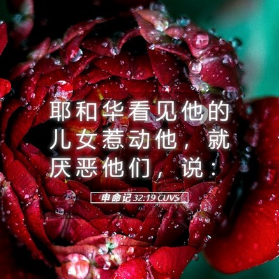 Picture 05 - 申 命 记 32:19 CUVS - 耶 和 华 看 见 他 的 儿 女 惹 动 他 - Bible Verse Picture