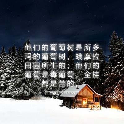 Picture 05 - 申 命 记 32:32 CUVS - 他 们 的 葡 萄 树 是 所 多 玛 的 葡 - Bible Verse Picture