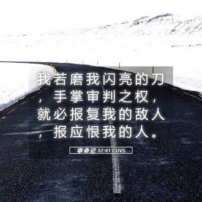 Picture 05 - 申 命 记 32:41 CUVS - 我 若 磨 我 闪 亮 的 刀 ， 手 掌 审 - Bible Verse Picture