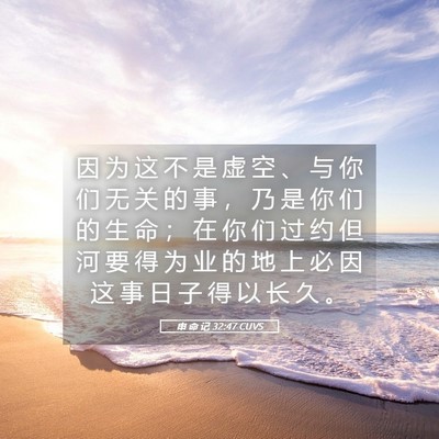 Picture 05 - 申 命 记 32:47 CUVS - 因 为 这 不 是 虚 空 、 与 你 们 无 - Bible Verse Picture