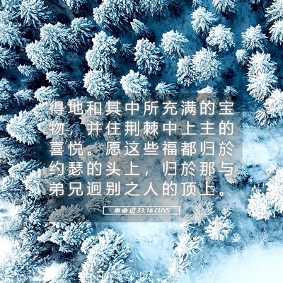 Picture 05 - 申 命 记 33:16 CUVS - 得 地 和 其 中 所 充 满 的 宝 物 ， - Bible Verse Picture
