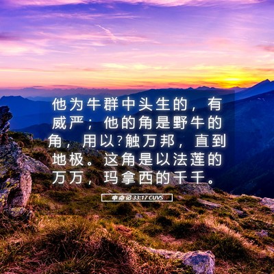 Picture 05 - 申 命 记 33:17 CUVS - 他 为 牛 群 中 头 生 的 ， 有 威 严 - Bible Verse Picture