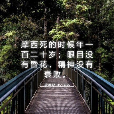 Picture 05 - 申 命 记 34:7 CUVS - 摩 西 死 的 时 候 年 一 百 二 十 岁 - Bible Verse Picture