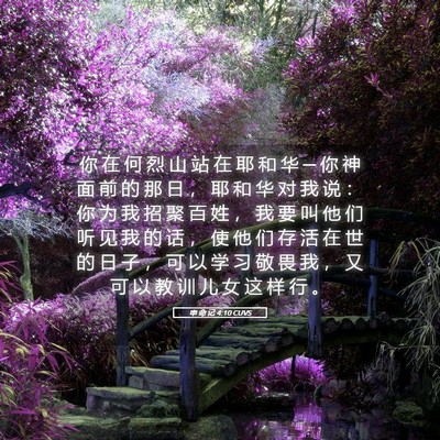 Picture 05 - 申 命 记 4:10 CUVS - 你 在 何 烈 山 站 在 耶 和 华 ─ 你 - Bible Verse Picture