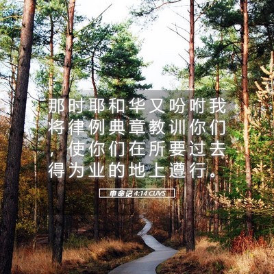 Picture 05 - 申 命 记 4:14 CUVS - 那 时 耶 和 华 又 吩 咐 我 将 律 例 - Bible Verse Picture