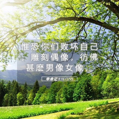 Picture 05 - 申 命 记 4:16 CUVS - 惟 恐 你 们 败 坏 自 己 ， 雕 刻 偶 - Bible Verse Picture