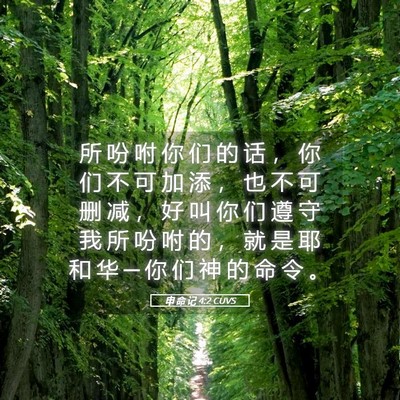 Picture 05 - 申 命 记 4:2 CUVS - 所 吩 咐 你 们 的 话 ， 你 们 不 可 - Bible Verse Picture