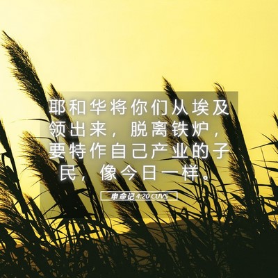 Picture 05 - 申 命 记 4:20 CUVS - 耶 和 华 将 你 们 从 埃 及 领 出 来 - Bible Verse Picture
