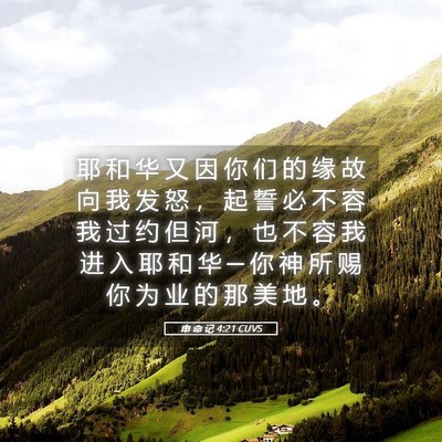 Picture 05 - 申 命 记 4:21 CUVS - 耶 和 华 又 因 你 们 的 缘 故 向 我 - Bible Verse Picture