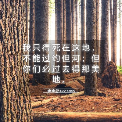 Picture 05 - 申 命 记 4:22 CUVS - 我 只 得 死 在 这 地 ， 不 能 过 约 - Bible Verse Picture
