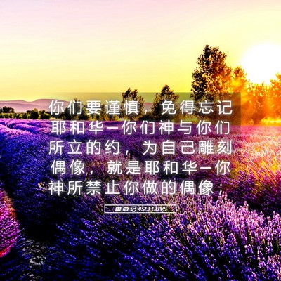 Picture 05 - 申 命 记 4:23 CUVS - 你 们 要 谨 慎 ， 免 得 忘 记 耶 和 - Bible Verse Picture