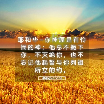 Picture 05 - 申 命 记 4:31 CUVS - 耶 和 华 ─ 你 神 原 是 有 怜 悯 的 - Bible Verse Picture