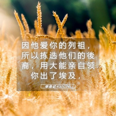 Picture 05 - 申 命 记 4:37 CUVS - 因 他 爱 你 的 列 祖 ， 所 以 拣 选 - Bible Verse Picture
