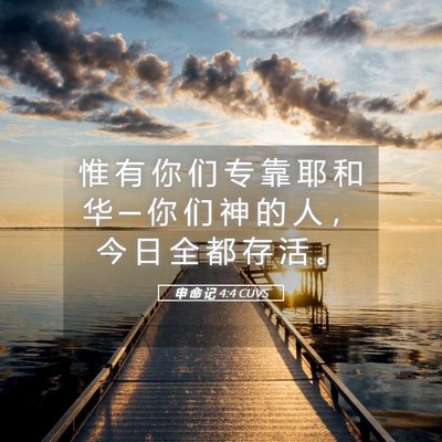 Picture 05 - 申 命 记 4:4 CUVS - 惟 有 你 们 专 靠 耶 和 华 ─ 你 们 - Bible Verse Picture