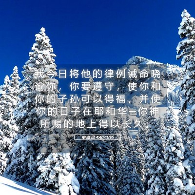 Picture 05 - 申 命 记 4:40 CUVS - 我 今 日 将 他 的 律 例 诫 命 晓 谕 - Bible Verse Picture