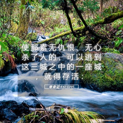 Picture 05 - 申 命 记 4:42 CUVS - 使 那 素 无 仇 恨 、 无 心 杀 了 人 - Bible Verse Picture